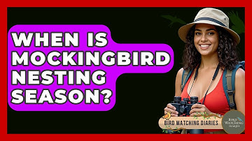 When Is Mockingbird Nesting Season? - Bird Watching Diaries