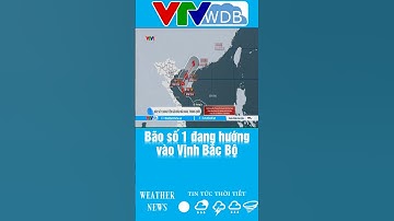 Bão số 1 đang hướng vào Vịnh Bắc Bộ | VTVWDB