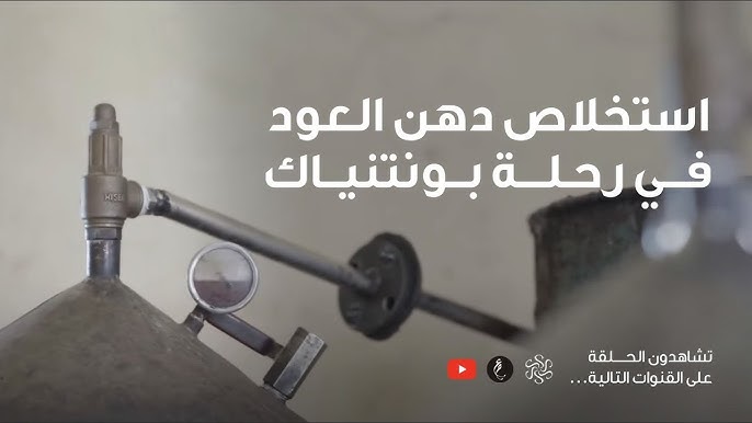 كيف يتم استخراج دهن العود ولماذا هو باهظ الثمن؟ - مقدمة