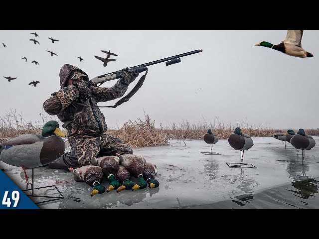 MALLARDS Dumped Into This ICE HOLE! (Limited Out) | Duck Hunting THICK Fog class=