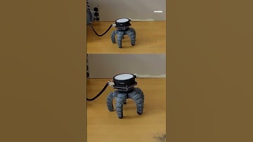 Mushroom learns to crawl after being given robot body