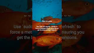 Efficient Fedora Package Updates | 2026-01-18 | #Shorts #productivityhacks #codinghacks