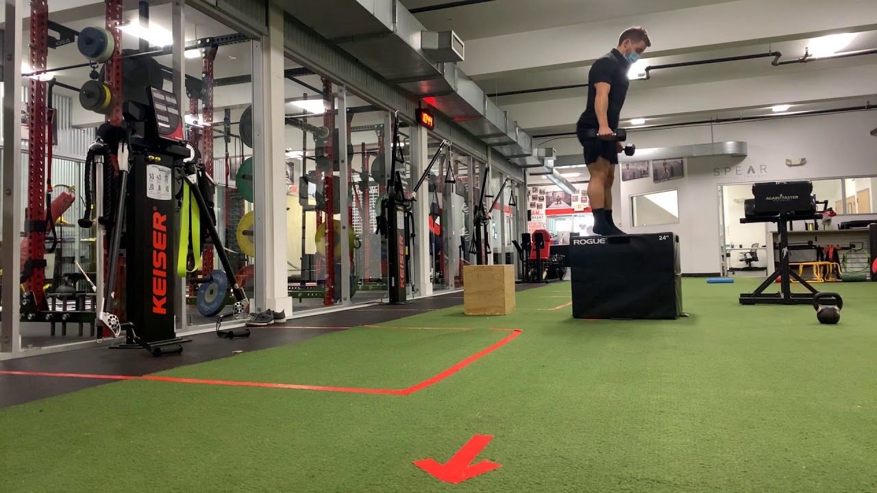 Seated DB Box Jump - YouTube