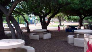 VID00612