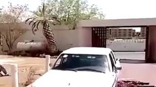 Selamu Aleykum (Lachkick👌)