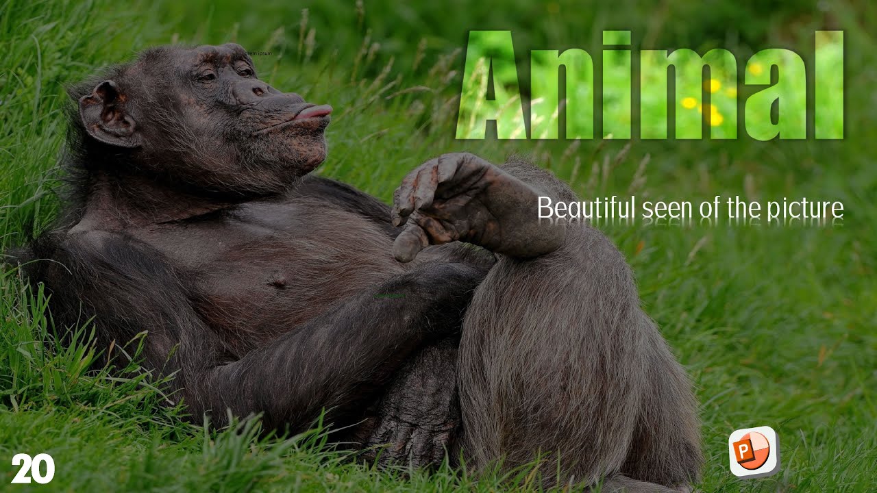 amazing powerpoint effects | how to make professional ppt ...