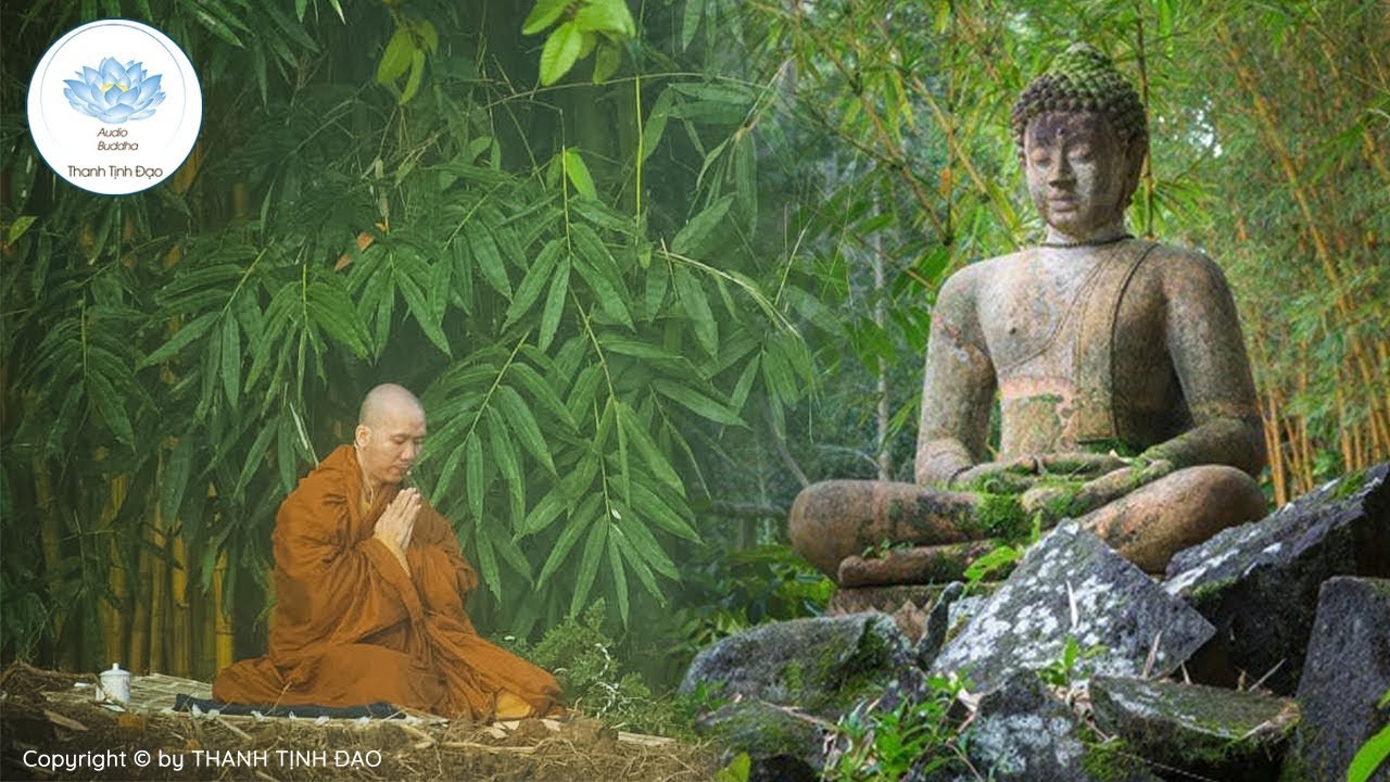 Ngỡ ngàng khi nghe Thiền Sư đắc đạo tiết lộ bí mật cách hành thiền để đạt được an lạc hạnh phúc