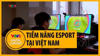 Tiềm năng phát triển Esport - Thể thao điện tử tại Việt Nam - Môn thể thao mới tại SEA Games 31