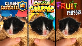 Kitten Meows but in Popular Mobile Games