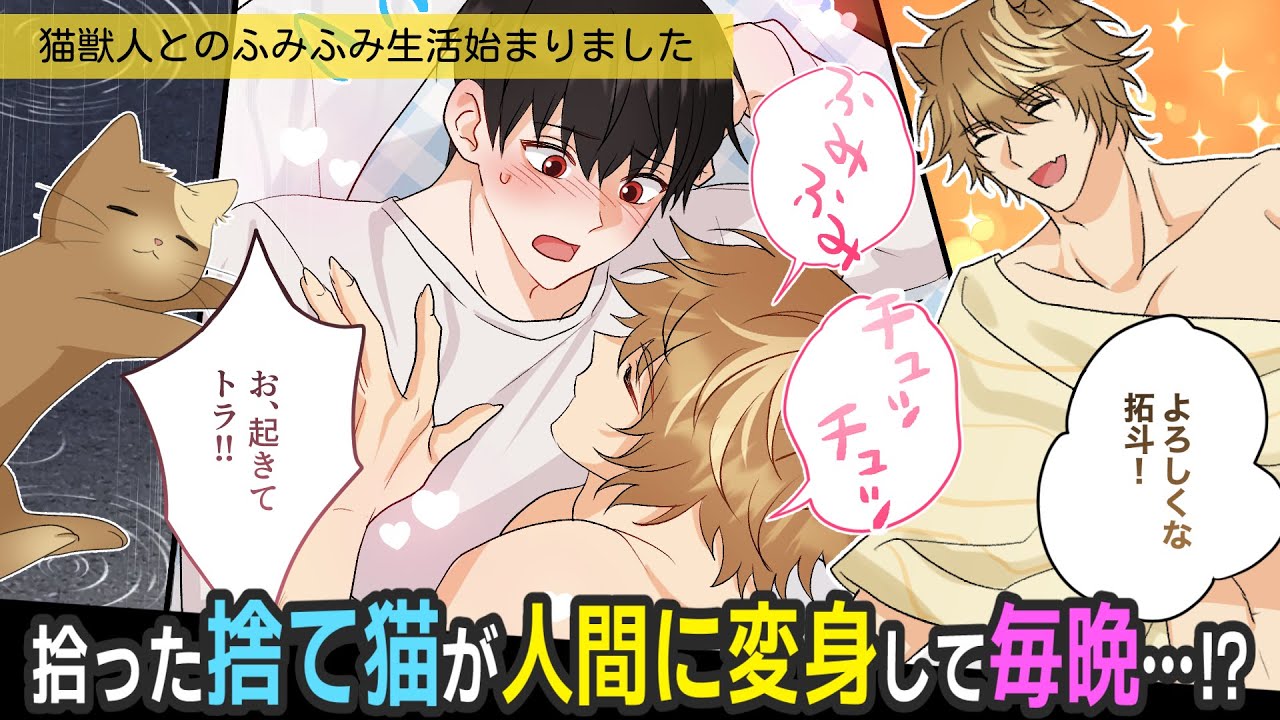 捨て猫が人間になった！？甘えん坊な猫が夜になると…【BLアニメ】