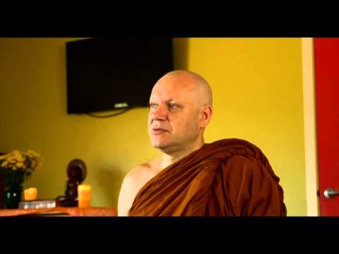 Ajahn Brahmali - Volition, Fools & Wise Men