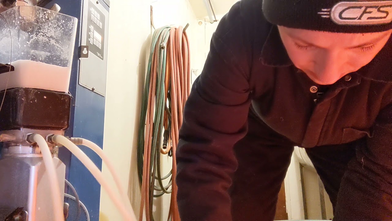 Our Milk Machine for Lambs