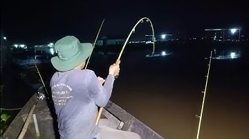 Cách ủ cám đơn giản câu cá Tra, cá Dồ Đém, cá Ba Sa mùa nước đổ | Câu cá trên bè T 500