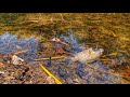 NOS QUEDAMOS SIN AGUA!!! 😞💧 EN LA HUASTECA!!! 🇲🇽 TRISTE NUESTRA SITUACIÓN 😭