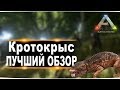 Кротокрыс (Roll Rat) в АРК. Лучший обзор: приручение, разведение и способности  в ark