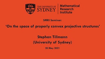 Stephan Tillmann: On the space of properly convex projective structures