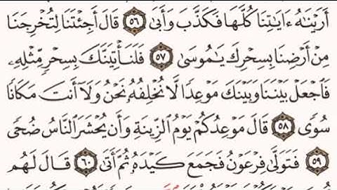 الصفحة رقم 315 الشيخ ماهر المعيقلي - القرآن الكريم - Quran