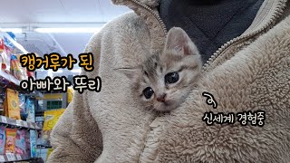 Kitty's reaction at a Convenience Store (Feat. Kangaroo)