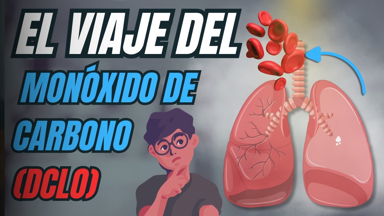 El Viaje del Monóxido de Carbono al Pulmón