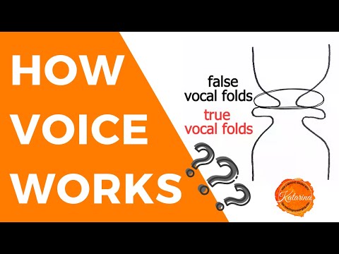 How Voice Works: Anatomy and Physiology of Voice