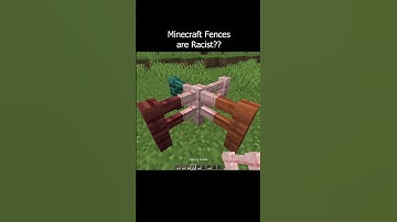 Minecraft fences are racist #minecraft