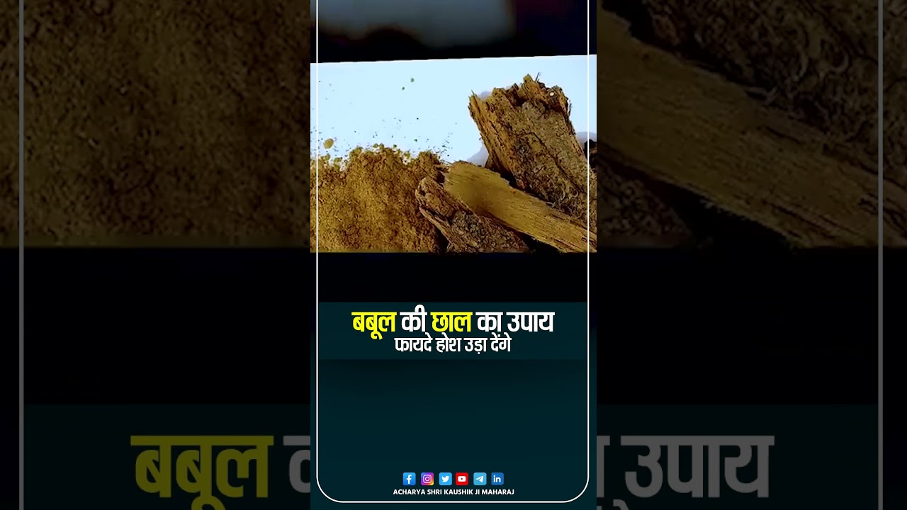 बबूल की छाल का उपाय, फायदे होश उड़ा देंगे | Acharya Shri Kaushik Ji Maharaj