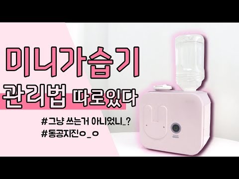 미니가습기 그냥 쓰면 안된다고?  가습기관리법 꼭 알고가자! /달구벌 생활백서