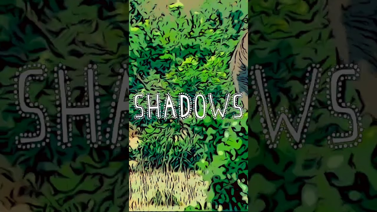 Watch Shadows by Amaro! out soon. Presave now link in bio on YouTube Watch Shadows by Amaro! out soon. Presave now link in bio on YouTube