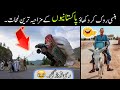 MOST FUNNY MOMENTS OF PAKISTANI PEOPLES 😅😂-part;-80 || pakistani funny video
