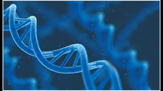 Zoom Session for Chapter 16 DNA and DNA Replication