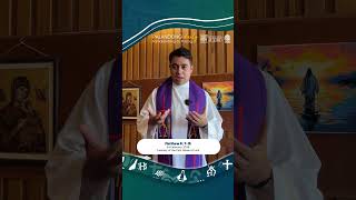 Palandong Daily   February 24, 2026