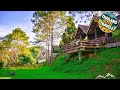 ไร่นุชชม รีสอร์ทเขาค้อ | Khao Kho, Thailand | Hotel Review 🏩