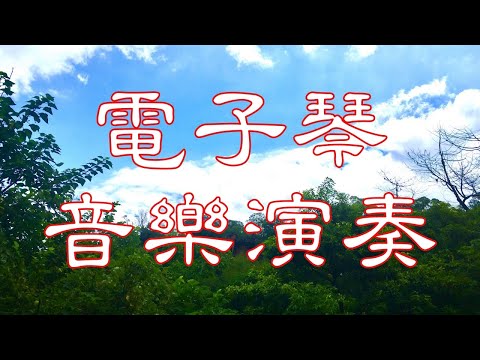 船頂的小姐【電子琴音樂演奏】