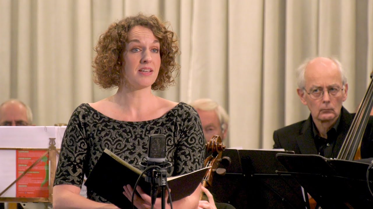 BWV 39-5 - Höchster, was ich habe