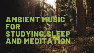 Wake up with me | 2 hours of birds chirping | background noise for study, meditation, sleep