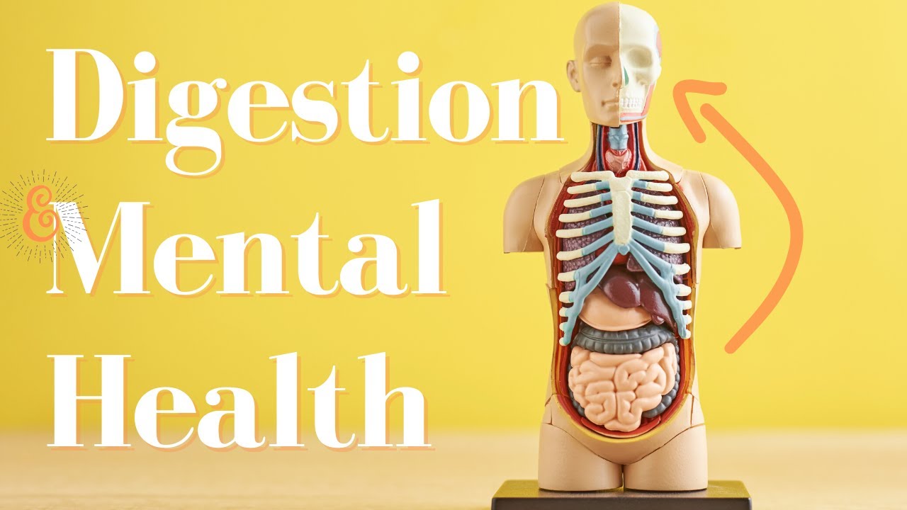Digestion & Your Mental Health