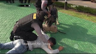 Anjing Polisi Dikerahkan Untuk Mengatasi Bentrokan Warga - 86