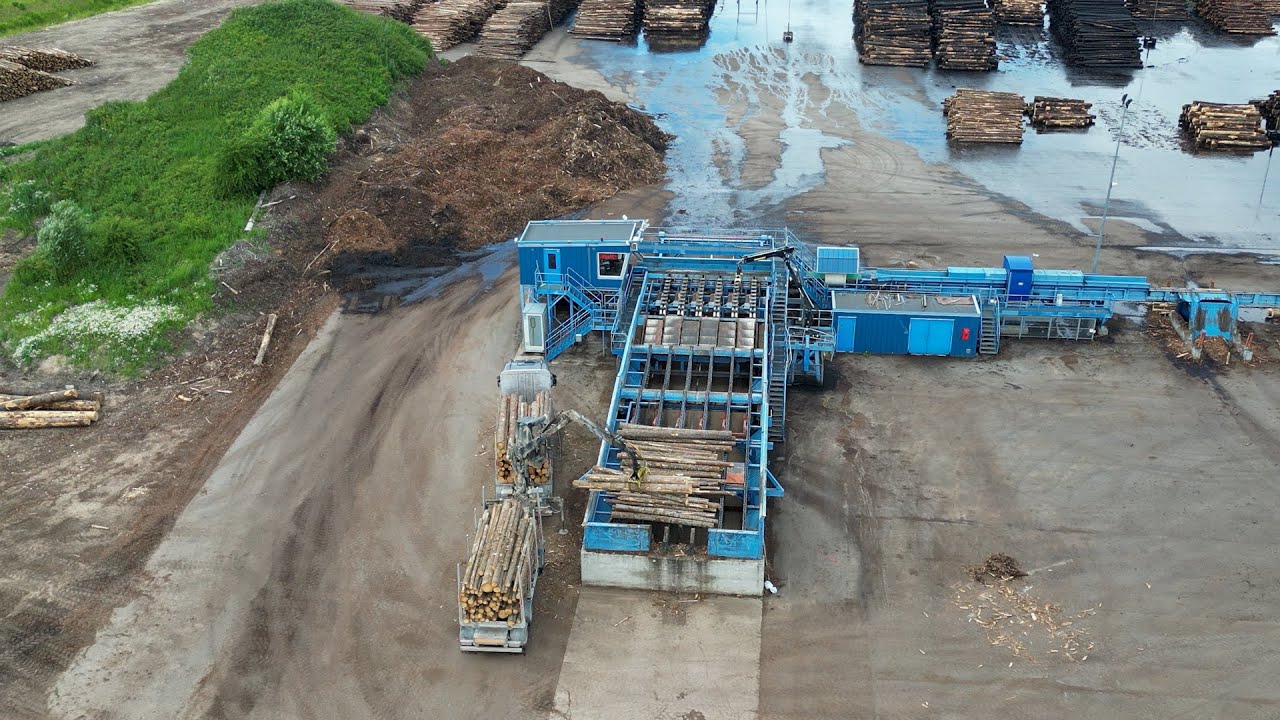 Timber loading & forest road view. Pine and spruce logs.