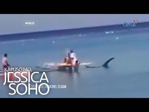 Video: Shark-submarine. Buhay ba ang misteryosong mandaragit - megalodon?