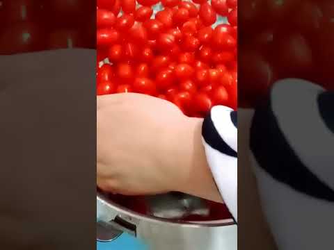 مطيشة الحك أو صلصة الطماطم بدون مواد حافظه