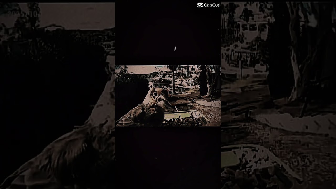 Diggy grave circus with birds ￼