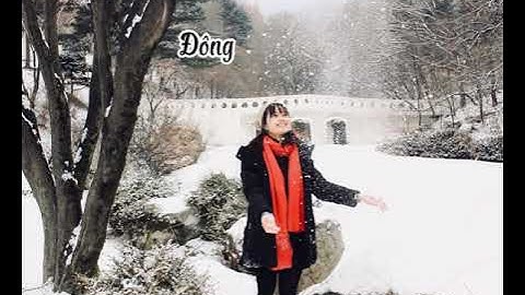 Hành trình sau khi tốt nghiệp Đại học của Thư