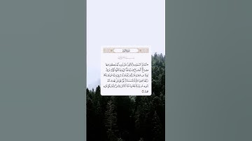 #سورة_النور #قران_كريم #ياسر_الدوسري #quran #المصحف #allahquran #لايك #اكسبلور