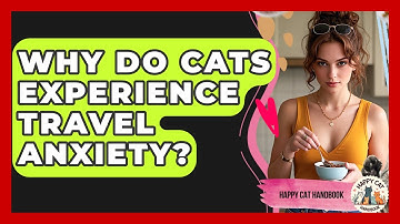 Why Do Cats Experience Travel Anxiety? - Happy Cat Handbook