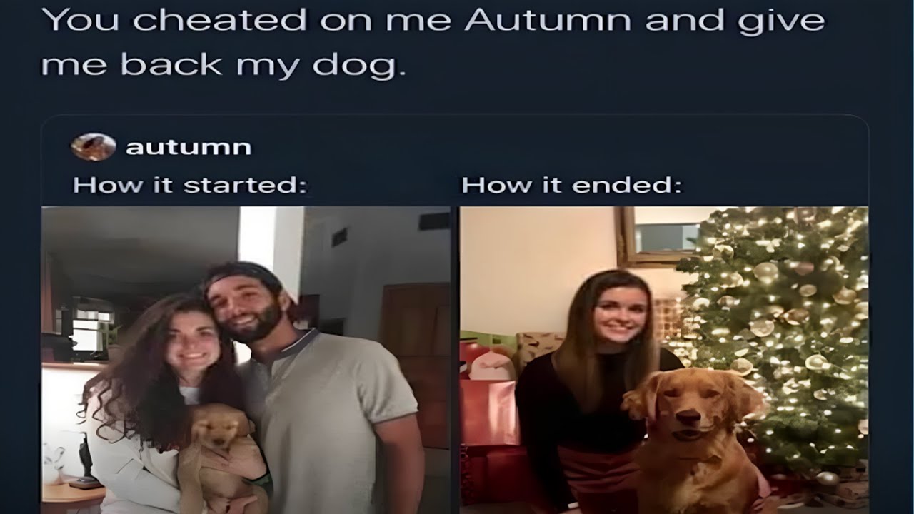 Most Funniest Memes