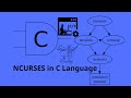 07 - CURSES in C Language - Attributes functions C