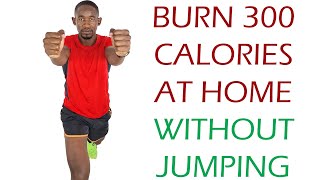 Burn 300 Calories Workout at Home/ Standing Cardio No Jumping