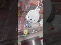 Cute items from Pochacco