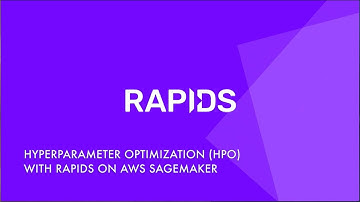 Hyperparameter Optimization (HPO) with RAPIDS on AWS Sagemaker