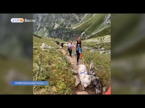 Vídeo: Com Esborrar Les Pàgines Desades